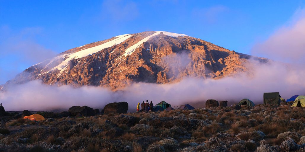 MT. KILIMANJARO