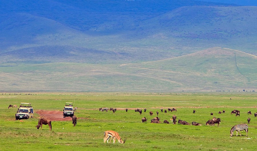 ngorongoro-crater-safari