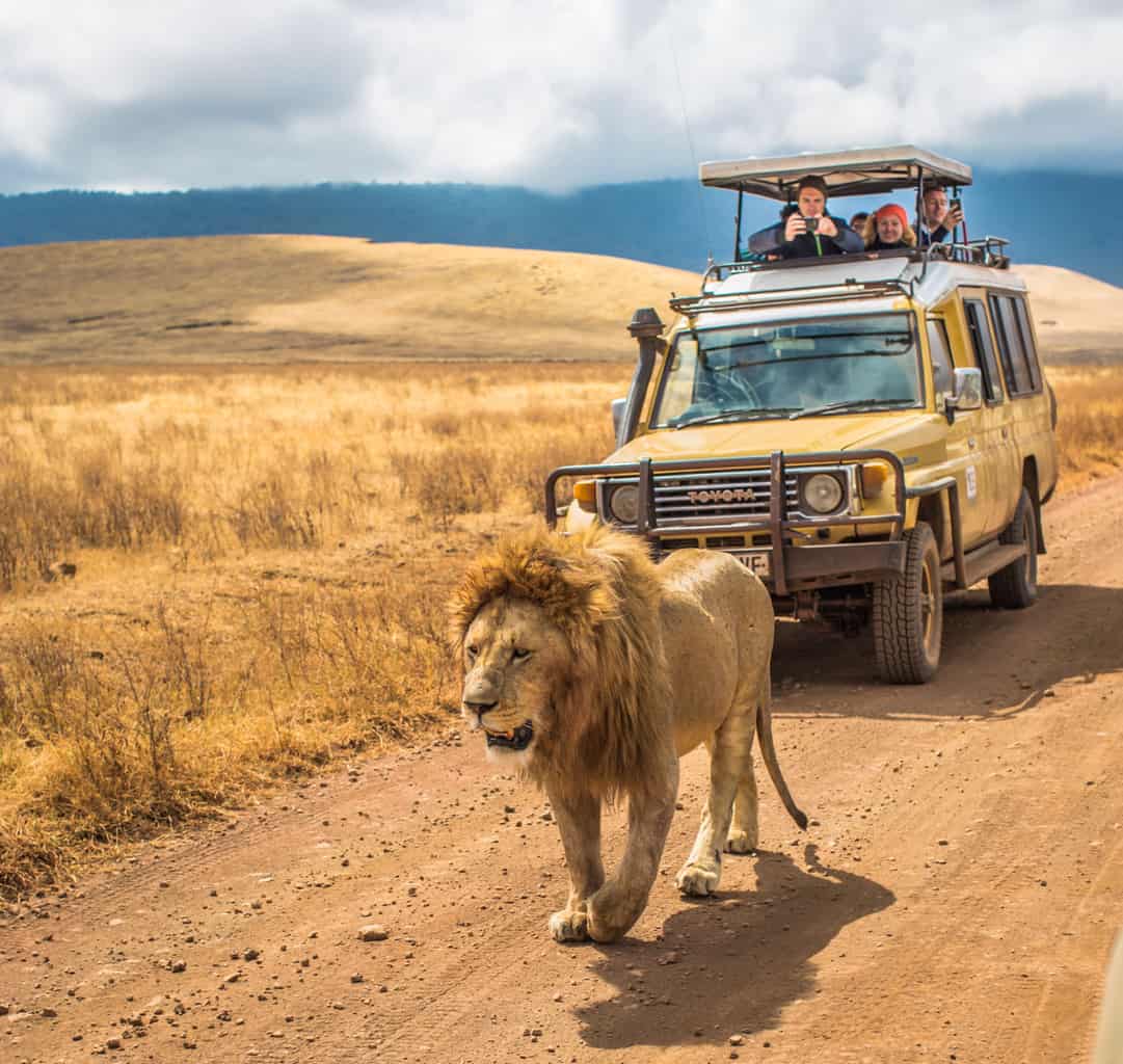 safari-tanzania